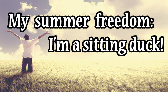 sitting-duck-summer